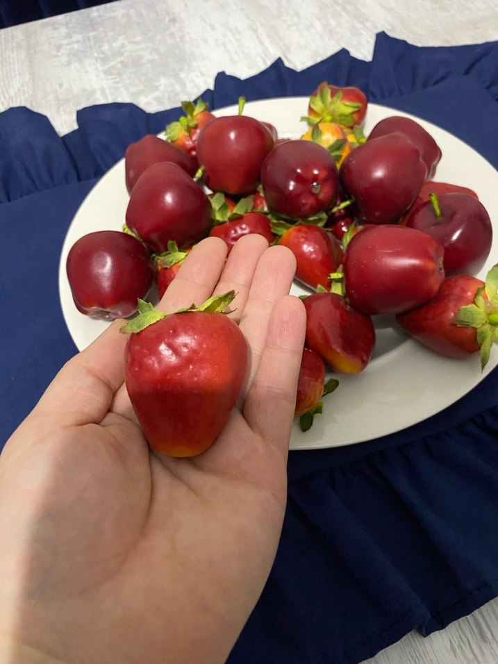 Tabak Üzerinde Renkli Meyveler - Görsel 4