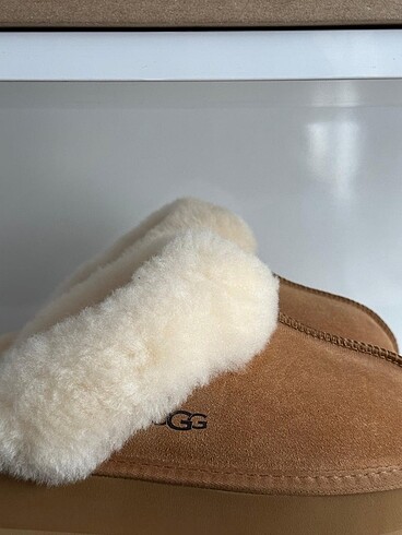 37 Beden Ugg Disquette House