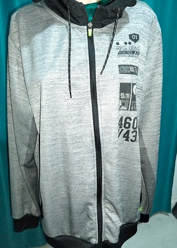 Kapüşonlu Fermuarlı Gri Erkek Sweatshirt - Görsel 2