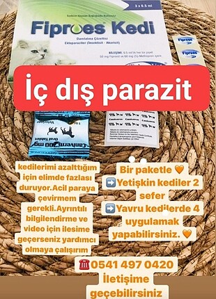 Kedi iç 
