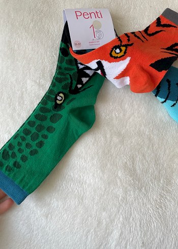 Penti Erkek Çocuk Renkli Desenli Çorap Seti - Görsel 3