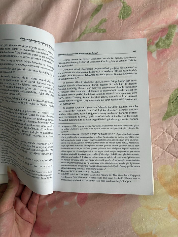 İdare Hukuku Dersleri - Ramazan Çağlayan - Görsel 2