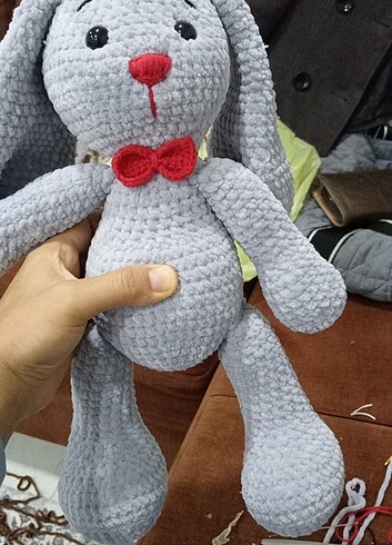 Uzun kulak tabsany - Görsel 2