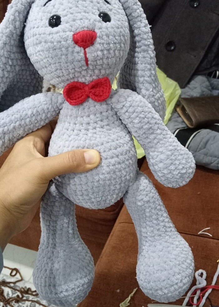 Uzun kulak tabsany - Görsel 2