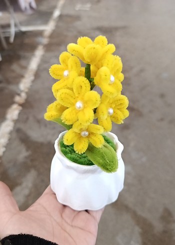 dekoratif saksıda sonil çicek incili - Görsel 2