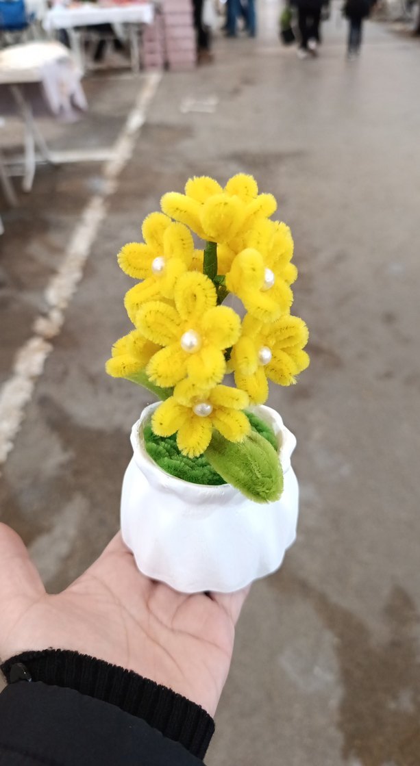 dekoratif saksıda sonil çicek incili - Görsel 2