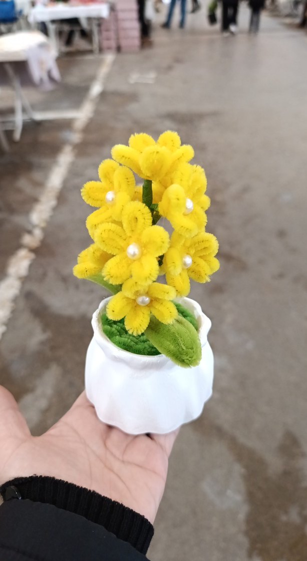 dekoratif saksıda sonil çicek incili - Görsel 3