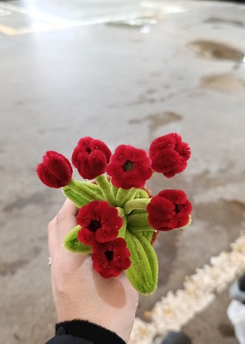 Kırmızı Kadife Çiçekli Bohem Dekoratif Saksı - Görsel 2