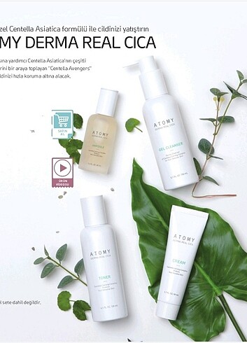 Atomy Derma Real Cıca
