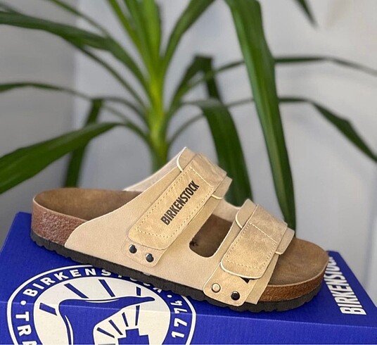 Birkenstock cırtlı bej ( black )