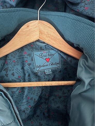 Lcw petrol yeşili mont - Görsel 2