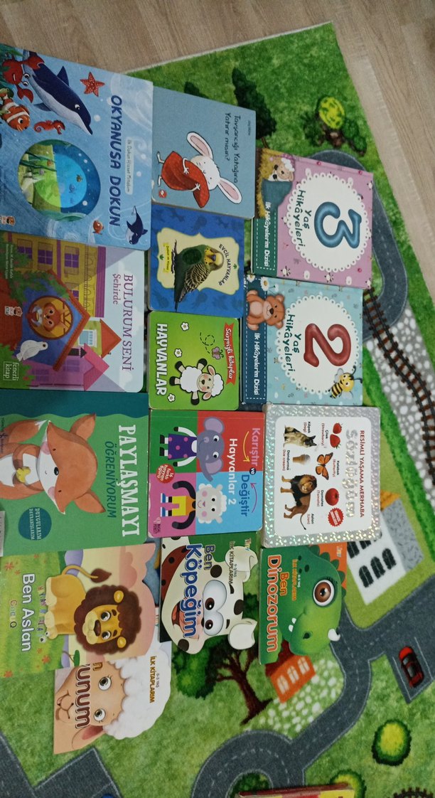 Bulurum seni şehirde Fenerli kitap, Okyanusa dokun,çeşitli... - Görsel 2