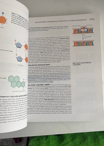 Hücre Moleküler Yaklaşım - Geoffrey M. Cooper