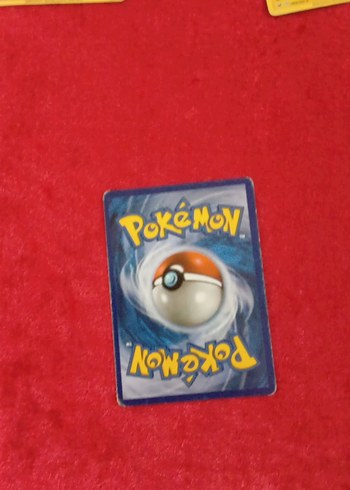  Beden pokemon kartları