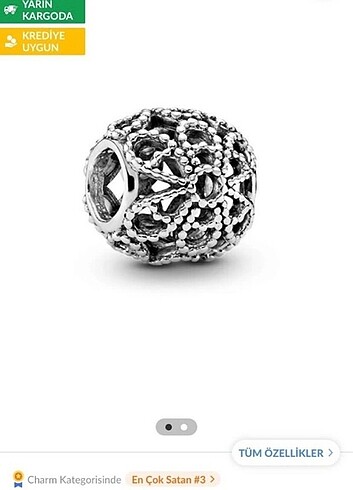  Beden Pandora kafes içi gül charm