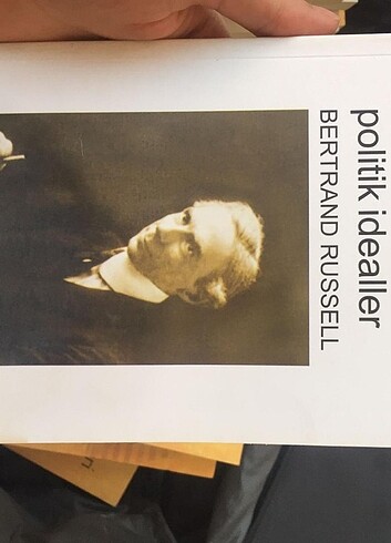 Politik idealler