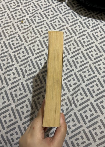 Bir Mucize Olsun - Poyraz Karayel Romanı - Görsel 2