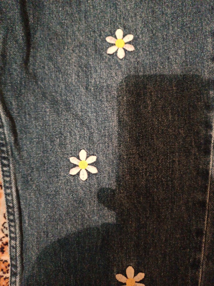 Nakışlı Düğmeli Bohem Kadın Kot Pantolon - Görsel 5