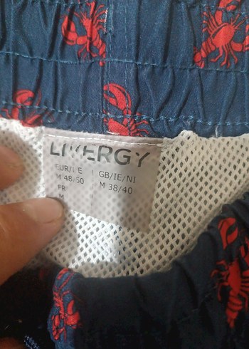 Kırmızı Desenli Lacivert Erkek Şort - Görsel 2