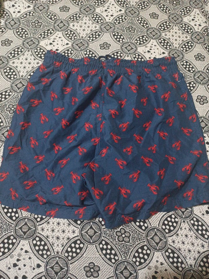 Kırmızı Desenli Lacivert Erkek Şort - Görsel 3