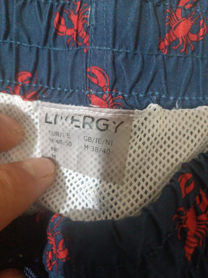 Kırmızı Desenli Lacivert Erkek Şort - Görsel 2