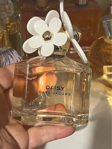 Daısy