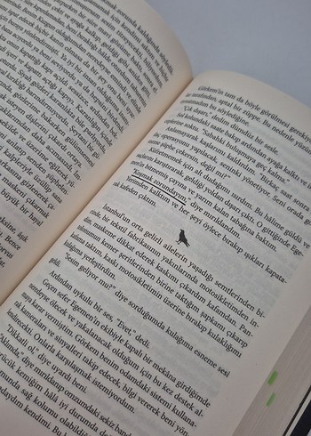 Beden Renk Filiz Puluç'tan Kuzgun Roman
