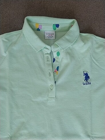 U.S Polo Assn. T shirt