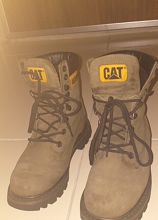 Cat bot 