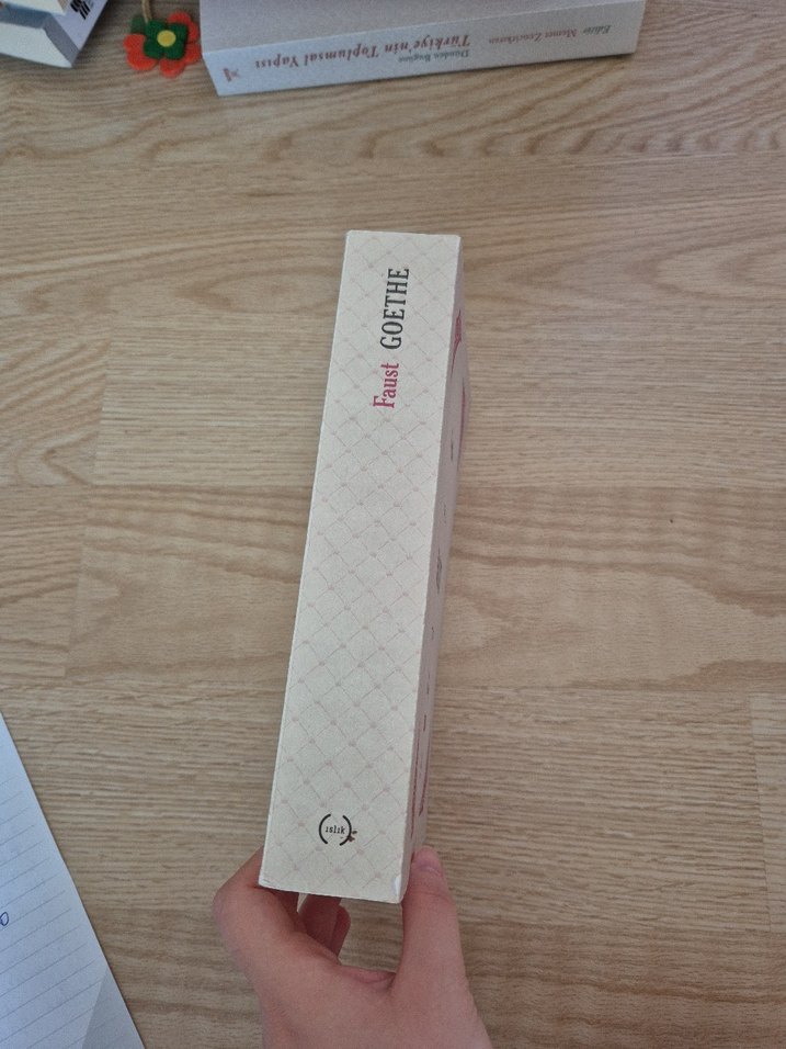 Faust - Goethe Roman - Görsel 2