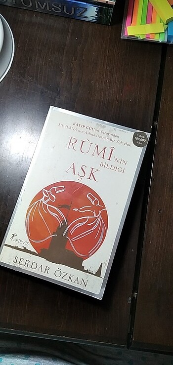 Ruminin Bildiği Aşk 