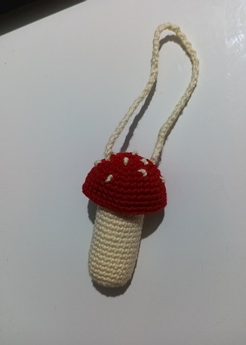 Mantar kılıf - Görsel 4