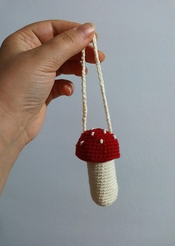 Mantar kılıf - Görsel 3