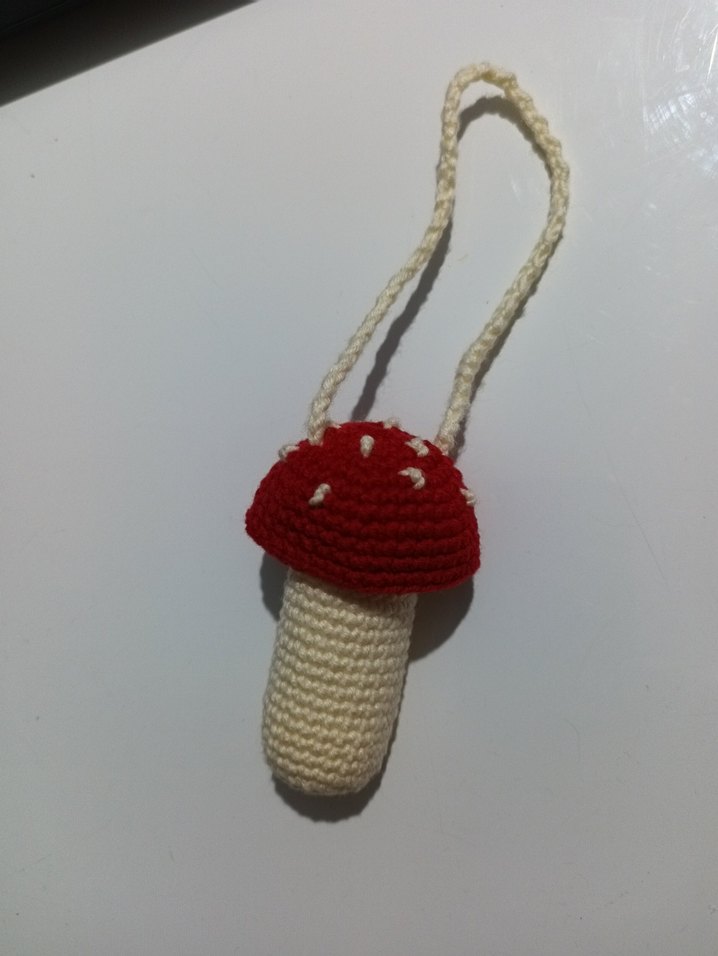 Mantar kılıf - Görsel 4