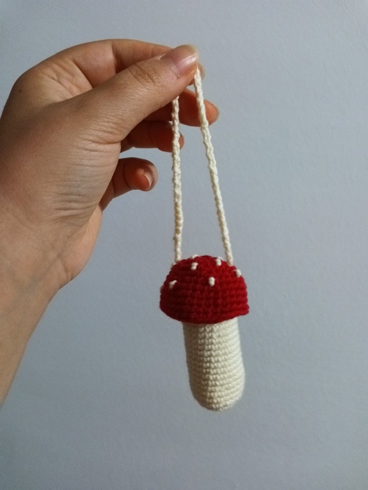 Mantar kılıf - Görsel 3