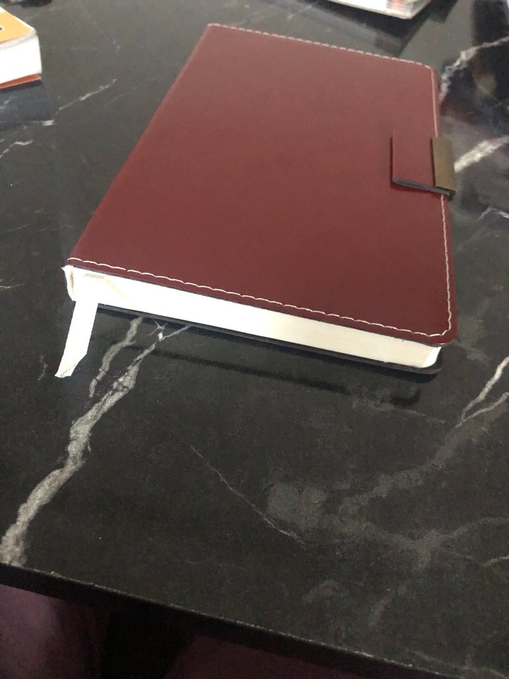 Bordo Deri Planlayıcı Defter - Görsel 2