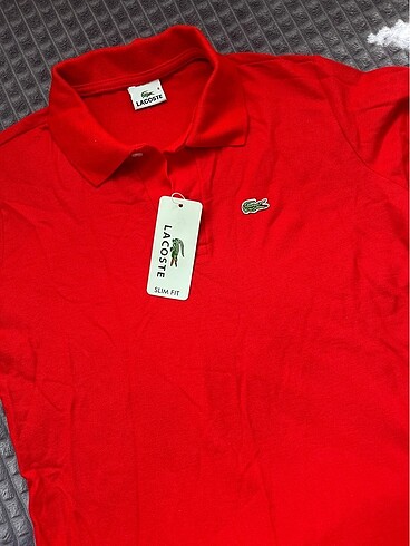 Lacoste tişört