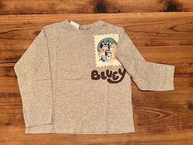 Zara tshirt