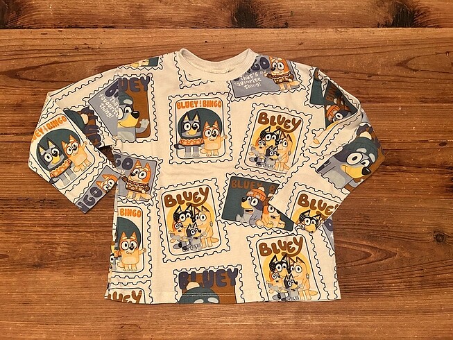 Zara tshirt
