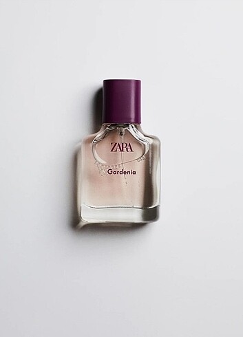 Zara Edp