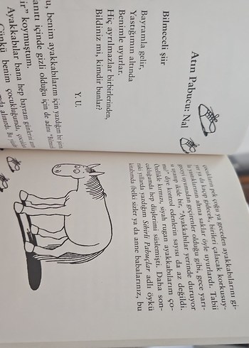 Stephen Hawking Herkül'ü Döver - Çocuklara Denemeler - Görsel 3