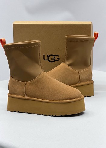Ugg 40