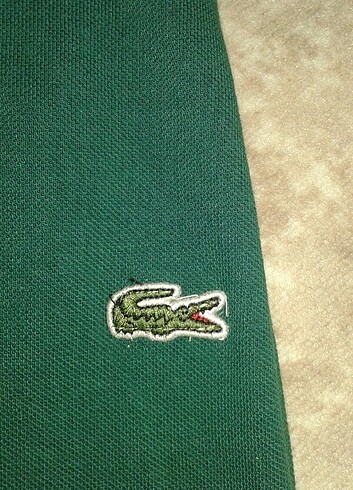 Lacoste Lacoste Erkek tişört 