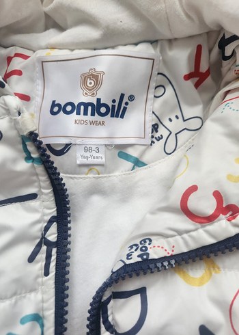 Kapüşonlu Baskılı Erkek Çocuk Mont - Görsel 2