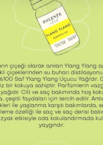 Ylang ylang Uçucu yağ - Görsel 6