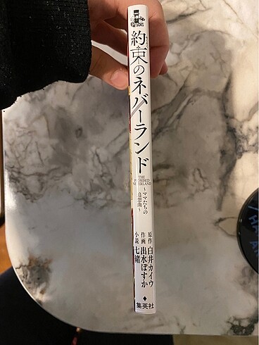 Vadedilmiş yokyer japonca roman