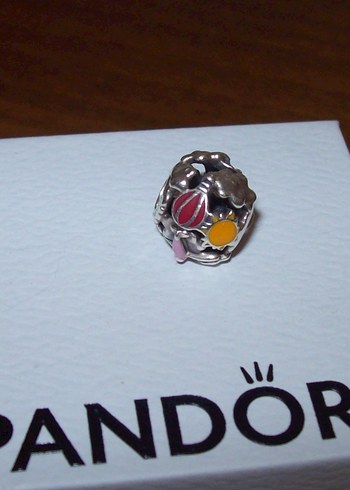 Renkli Pandora Kadın Charm