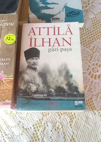 Beden Suç ve Ceza ,Gazi pasa,tüm şiirler,Kır Çiçegi Tepesi