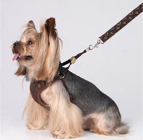  İthal köpek tasması ve uzatma ipi