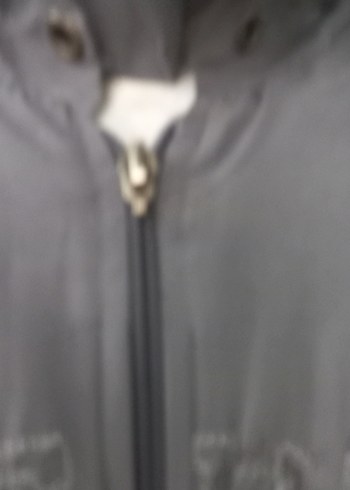 Gri Kapüşonlu Fermuarlı Kadın Ceket - Görsel 8